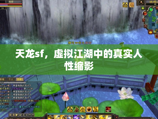 天龙sf，虚拟江湖中的真实人性缩影