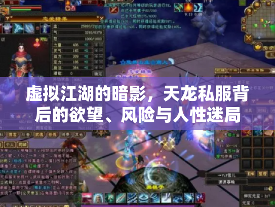 虚拟江湖的暗影，天龙私服背后的欲望、风险与人性迷局