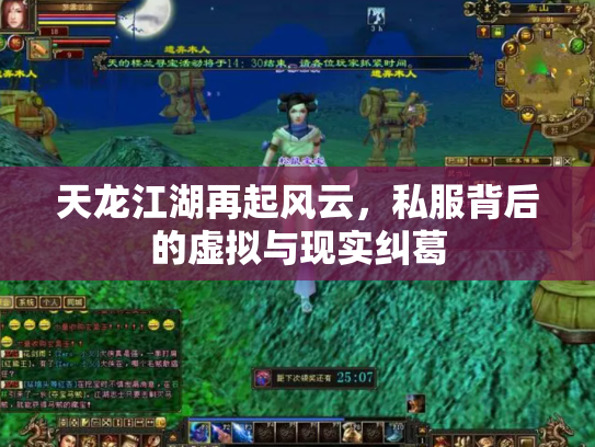 天龙江湖再起风云，私服背后的虚拟与现实纠葛