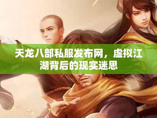 天龙八部私服发布网，虚拟江湖背后的现实迷思