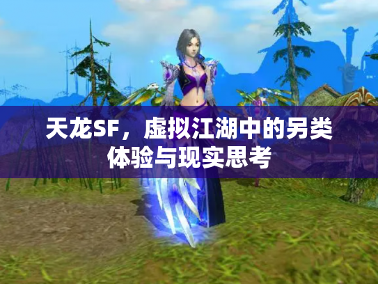 天龙SF，虚拟江湖中的另类体验与现实思考