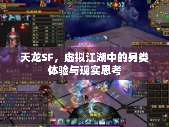 天龙SF，虚拟江湖中的另类体验与现实思考