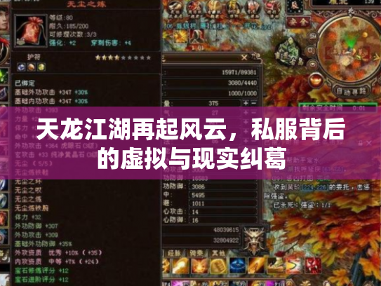 天龙江湖再起风云，私服背后的虚拟与现实纠葛