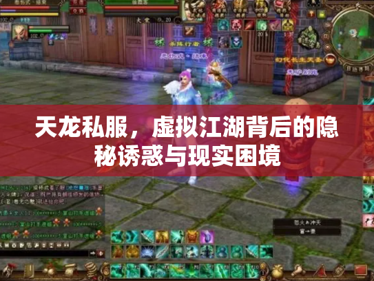天龙私服，虚拟江湖背后的隐秘诱惑与现实困境