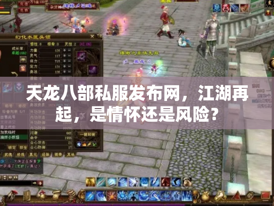 天龙八部私服发布网，江湖再起，是情怀还是风险？
