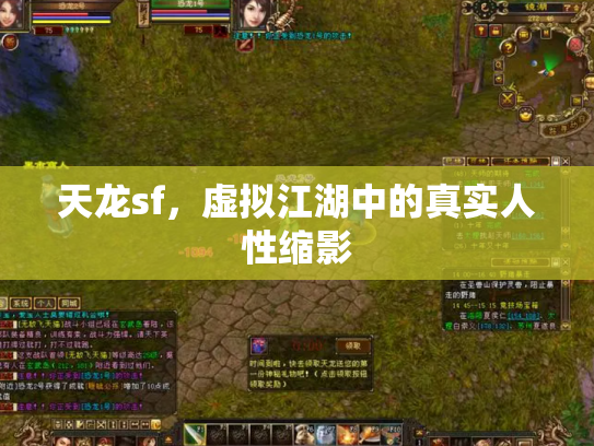天龙sf，虚拟江湖中的真实人性缩影