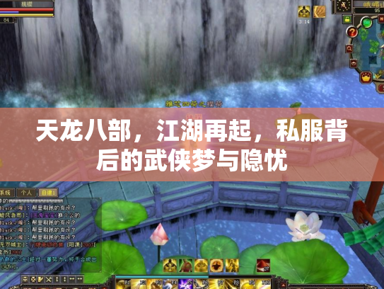 天龙八部，江湖再起，私服背后的武侠梦与隐忧