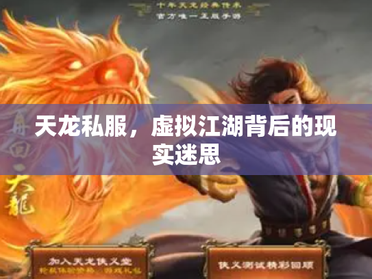 天龙私服，虚拟江湖背后的现实迷思