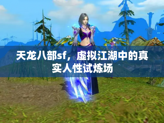 天龙八部sf，虚拟江湖中的真实人性试炼场