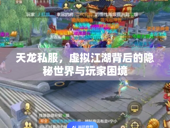 天龙私服，虚拟江湖背后的隐秘世界与玩家困境