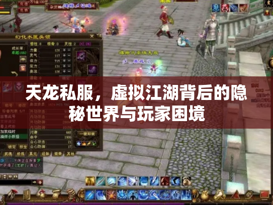 天龙私服，虚拟江湖背后的隐秘世界与玩家困境