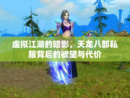 虚拟江湖的暗影，天龙八部私服背后的欲望与代价