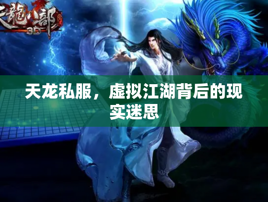 天龙私服，虚拟江湖背后的现实迷思