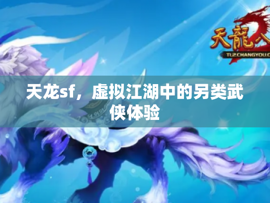 天龙sf，虚拟江湖中的另类武侠体验