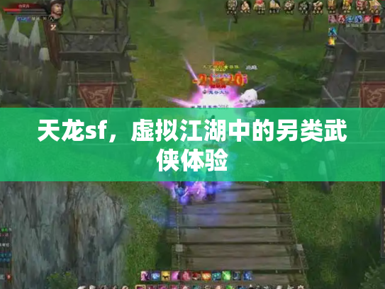 天龙sf，虚拟江湖中的另类武侠体验