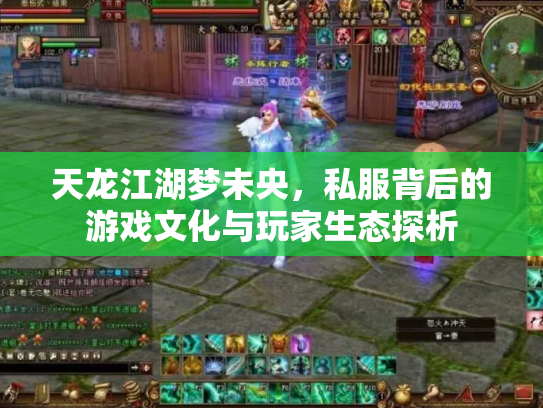 天龙江湖梦未央，私服背后的游戏文化与玩家生态探析