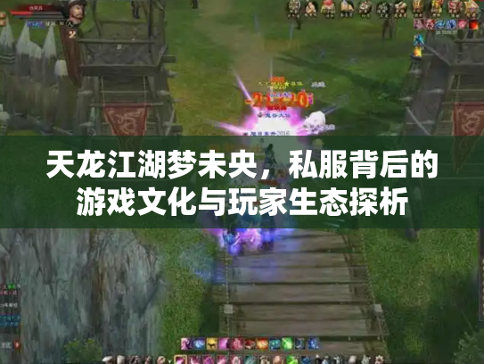 天龙江湖梦未央，私服背后的游戏文化与玩家生态探析