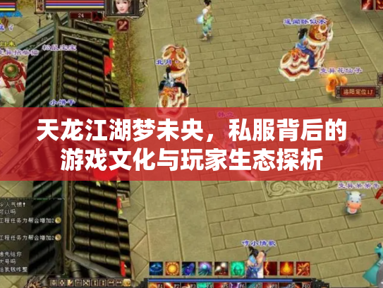 天龙江湖梦未央，私服背后的游戏文化与玩家生态探析