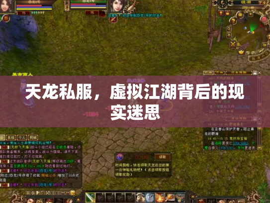 天龙私服，虚拟江湖背后的现实迷思