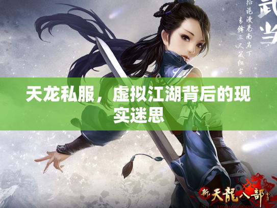 天龙私服，虚拟江湖背后的现实迷思