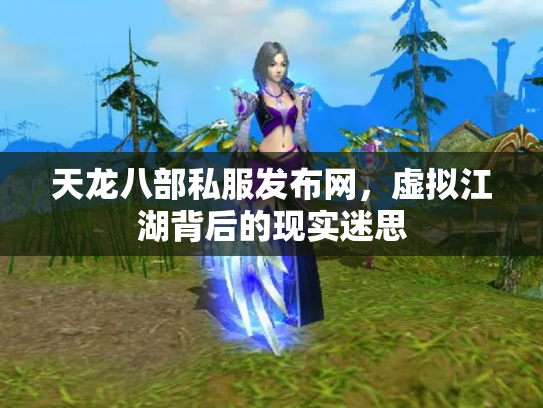 天龙八部私服发布网，虚拟江湖背后的现实迷思