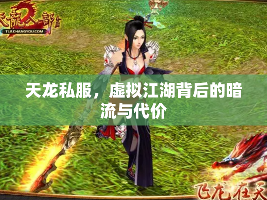 天龙私服，虚拟江湖背后的暗流与代价