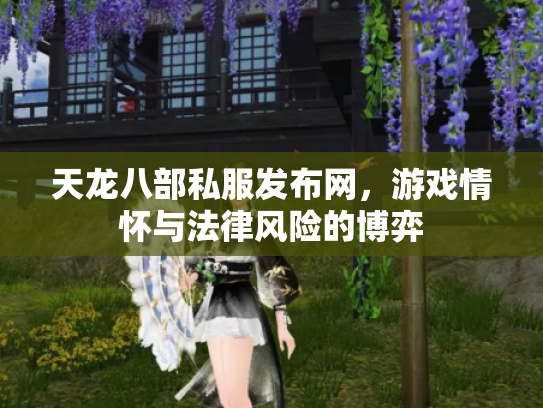 天龙八部私服发布网，游戏情怀与法律风险的博弈
