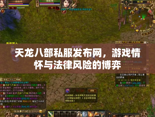 天龙八部私服发布网，游戏情怀与法律风险的博弈
