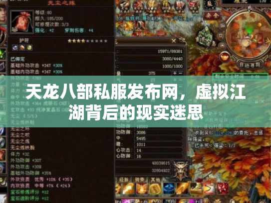 天龙八部私服发布网，虚拟江湖背后的现实迷思