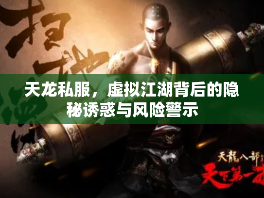 天龙私服，虚拟江湖背后的隐秘诱惑与风险警示