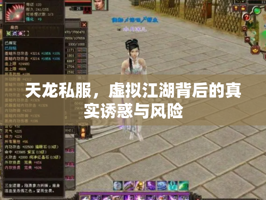 天龙私服，虚拟江湖背后的真实诱惑与风险