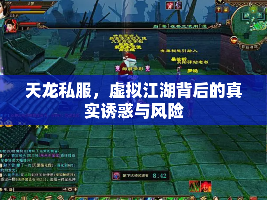 天龙私服，虚拟江湖背后的真实诱惑与风险