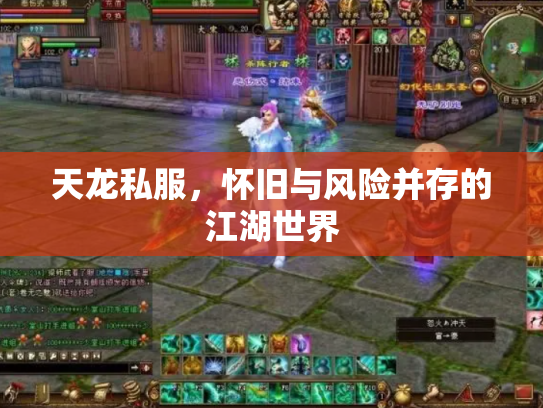 天龙私服，怀旧与风险并存的江湖世界