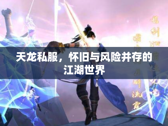 天龙私服，怀旧与风险并存的江湖世界