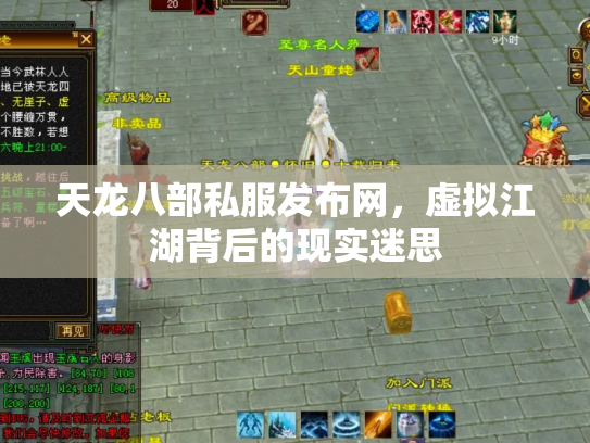 天龙八部私服发布网，虚拟江湖背后的现实迷思