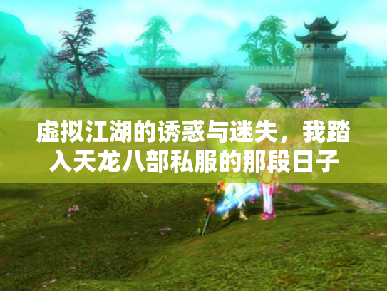 虚拟江湖的诱惑与迷失，我踏入天龙八部私服的那段日子