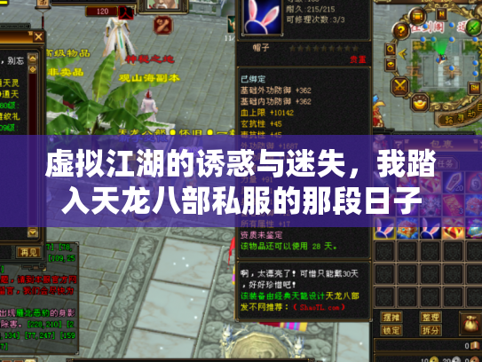 虚拟江湖的诱惑与迷失，我踏入天龙八部私服的那段日子