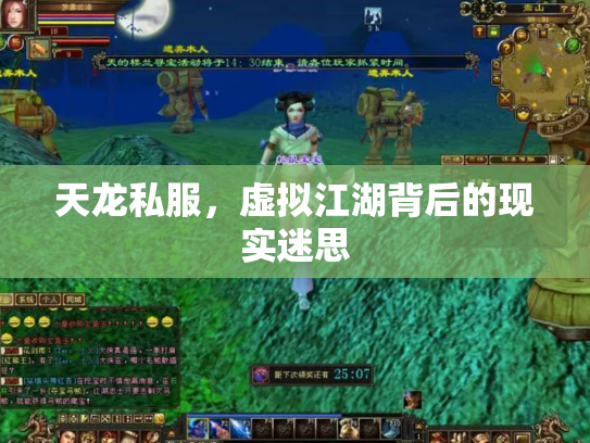 天龙私服，虚拟江湖背后的现实迷思