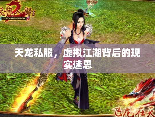 天龙私服，虚拟江湖背后的现实迷思