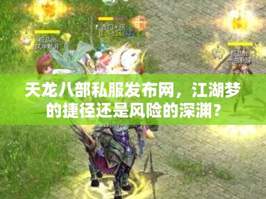 天龙八部私服发布网，江湖梦的捷径还是风险的深渊？