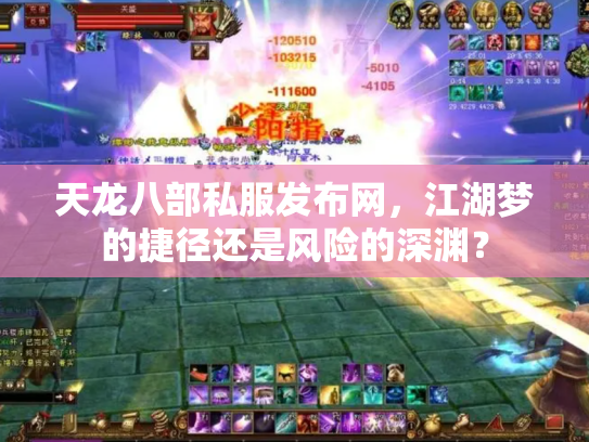 天龙八部私服发布网，江湖梦的捷径还是风险的深渊？