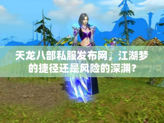 天龙八部私服发布网，江湖梦的捷径还是风险的深渊？
