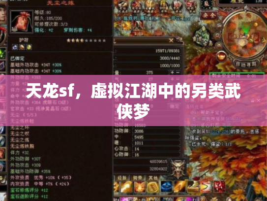 天龙sf，虚拟江湖中的另类武侠梦