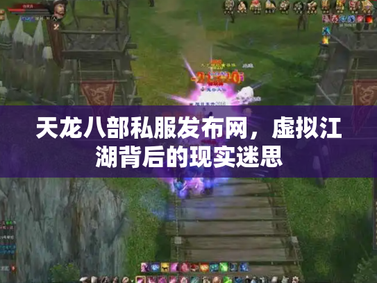 天龙八部私服发布网，虚拟江湖背后的现实迷思