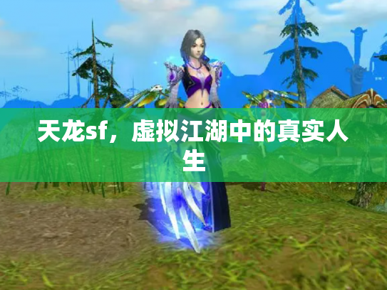 天龙sf，虚拟江湖中的真实人生
