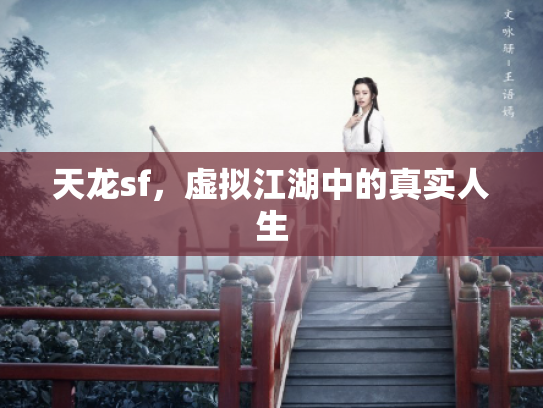 天龙sf，虚拟江湖中的真实人生
