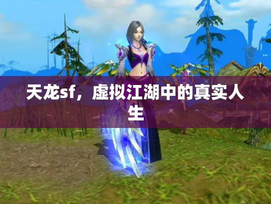 天龙sf，虚拟江湖中的真实人生