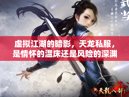 虚拟江湖的暗影，天龙私服，是情怀的温床还是风险的深渊？