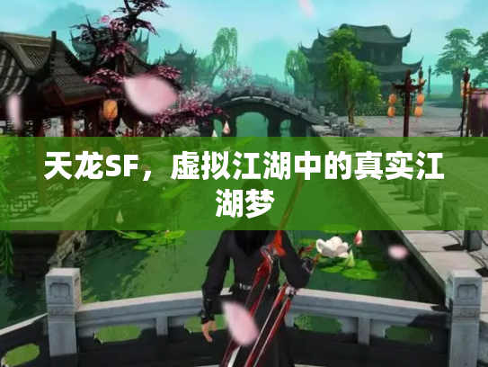 天龙SF，虚拟江湖中的真实江湖梦