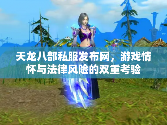 天龙八部私服发布网，游戏情怀与法律风险的双重考验